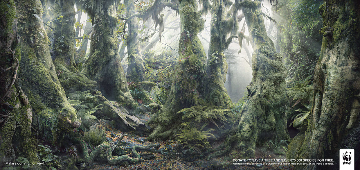 WWF - Botanimal Project by Anais Boileau